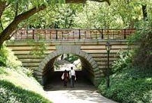 Uptown Treasures & Harlem Tour